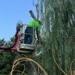 Structural Tree Support