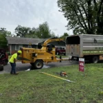 Pre-Construction Lot Clearing