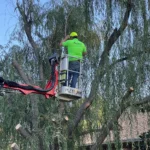 Residential Property Clearance