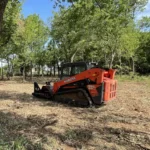 Post-Tree Removal Cleanup