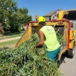 Cleared branches and overgrowth to restore usable space